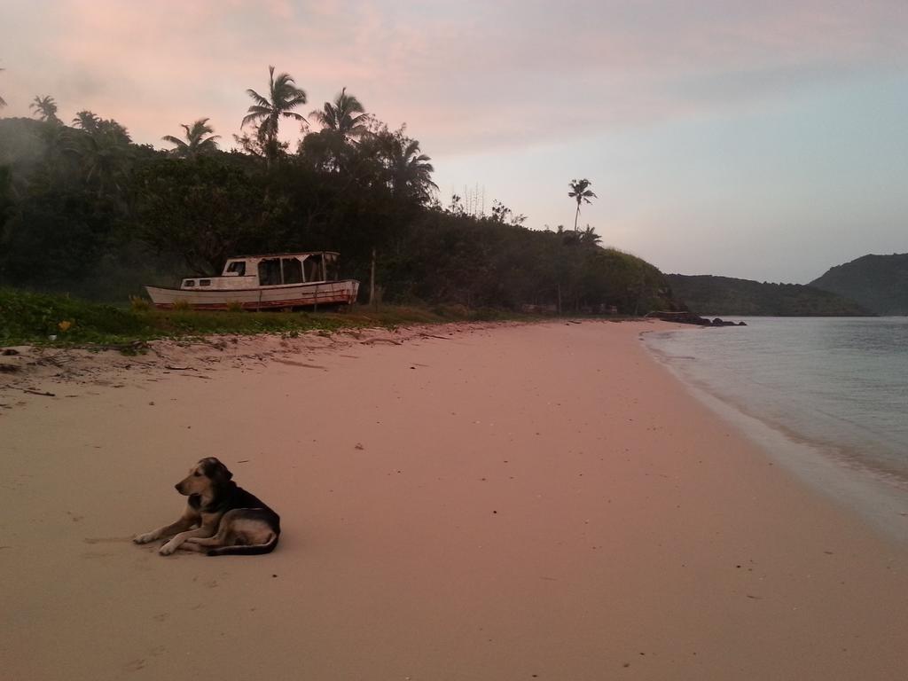 Yasawa Homestays Naisisili المظهر الخارجي الصورة